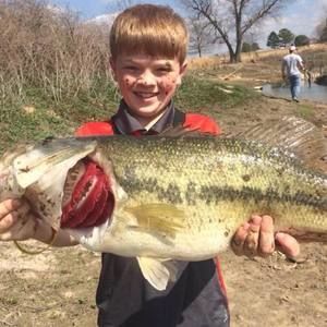 Meet your Posher, Micah